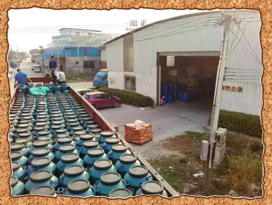 ��ɭ�����I(y��)��(j��)�w�����L(zh��ng) �x�ͳɿ�(j��)?c��)ل?chu��ng)�vʷ�¸�