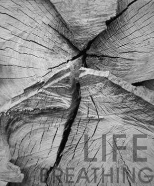 �մɽ�(j��ng)�N�̵ġ�ʹ�c(di��n)����λ���?