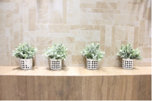 20161114 ICC�ɴu������׃���fǧ���پW(w��ng)ÿ�ܳ�Ҏ(gu��)���£�533_���D��.jpg